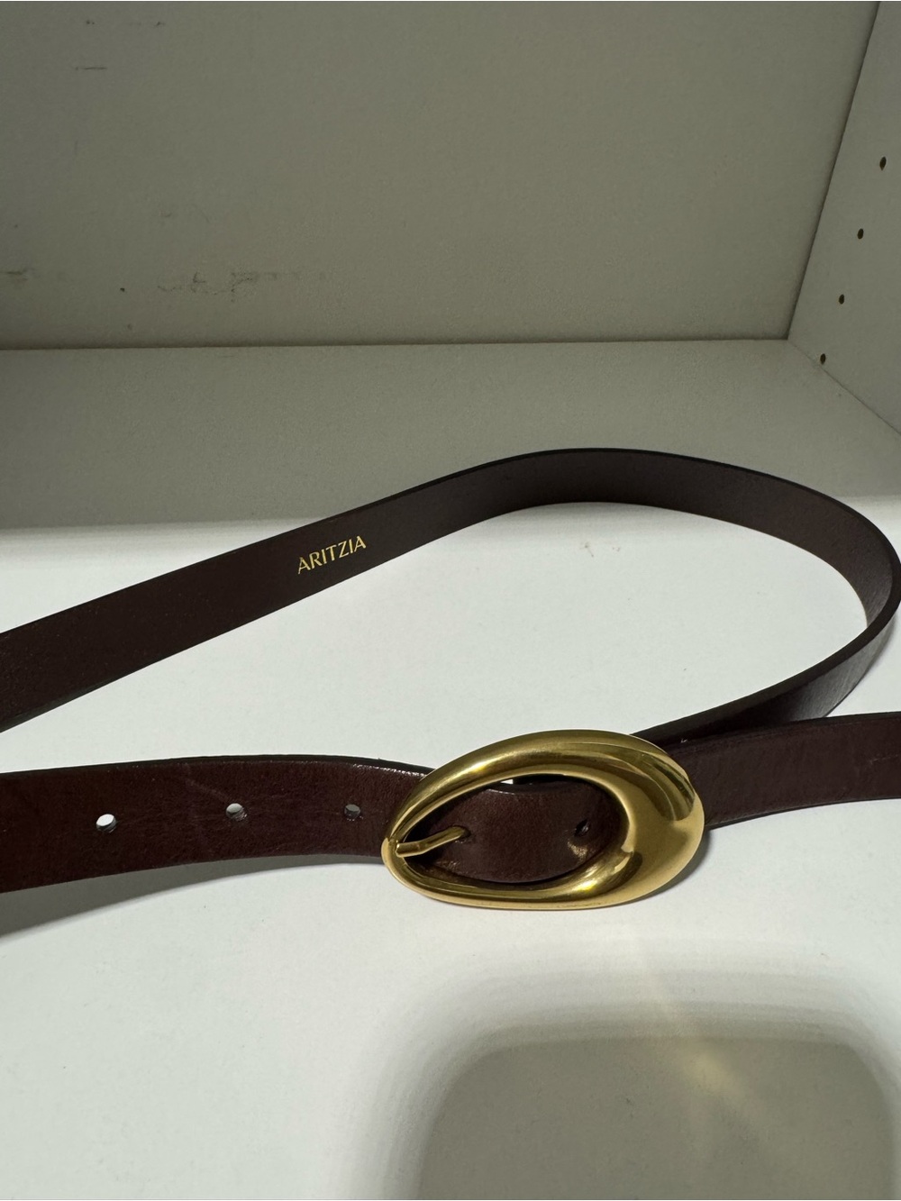 Aritzia Dark Brown Leather Belt with Gold Oval Sculpted Buckle